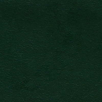 Leather