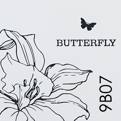 Butterfly B