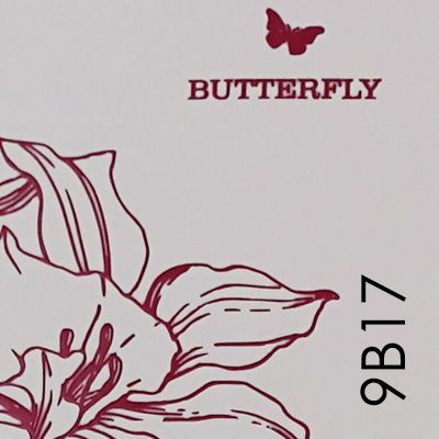 Butterfly B